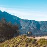 3 November, Harga Tiket Jalur Pendakian Gunung Rinjani Naik