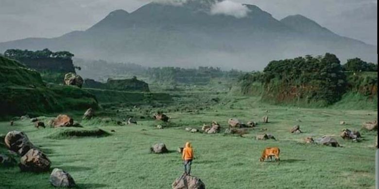 Defense Studies: Impor Alutsista New Zealand 2018