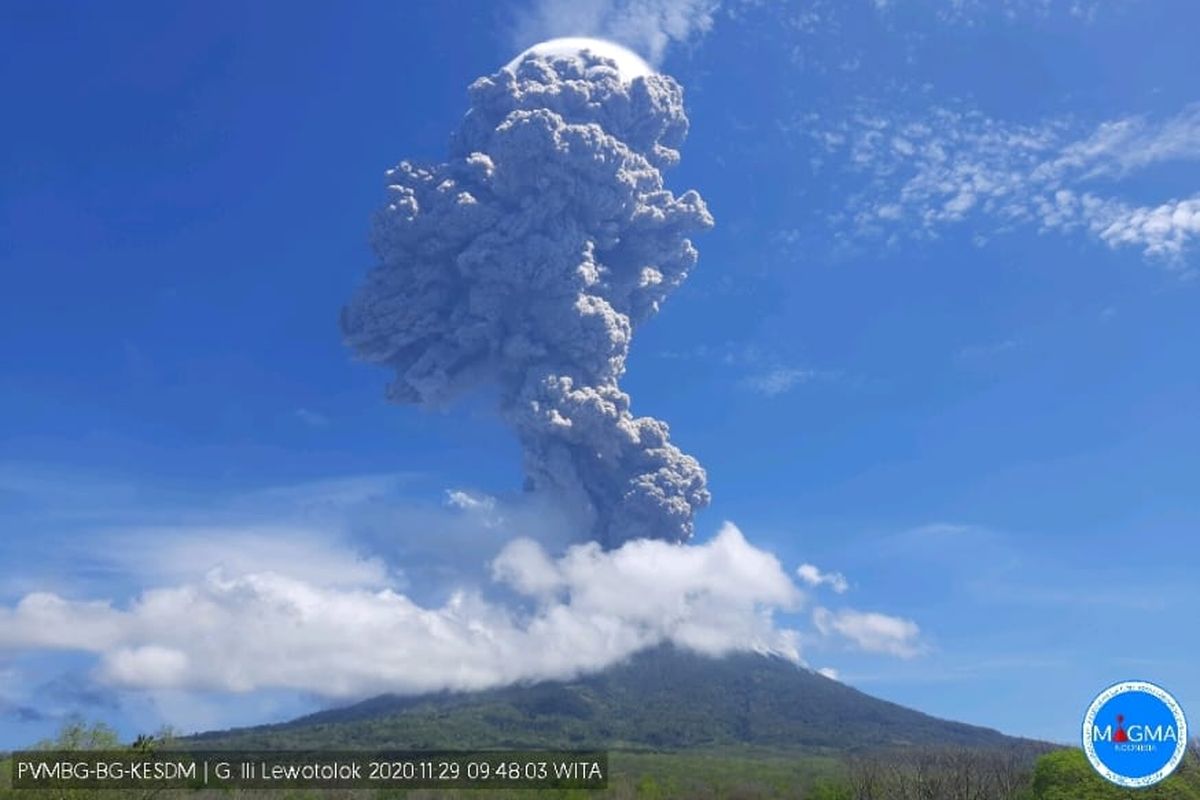 Erupsi Gunung Ili Lewotolok, NTT, Minggu (29/11/2020)