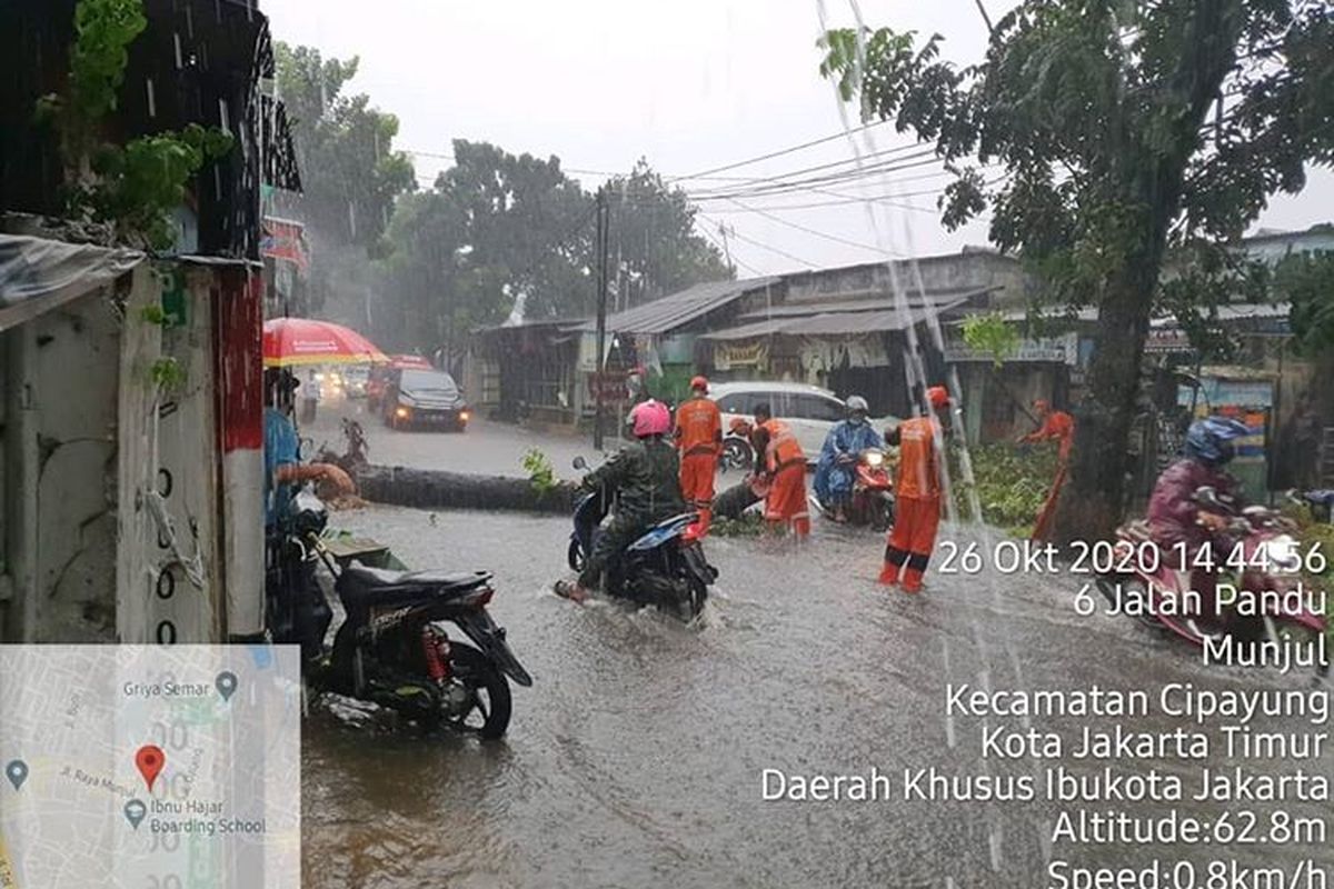 Pohon tumbang tutupi sisi Jalan di Kawasan Munjul, Jakarta Timur, Senin (26/10/2020)