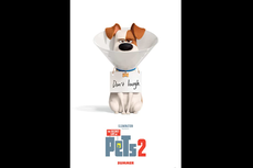 Sinopsis The Secret Life of Pets 2, Tayang 15 Juni di Netflix