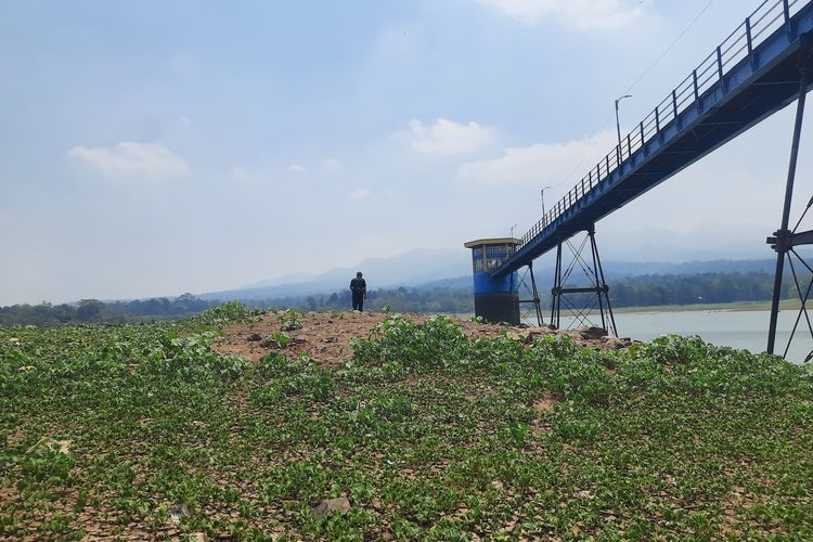 Waduk Gembong Pati Mengering: Air Tersisa 2,4 Juta Meter Kubik, Bisa Habis dalam 2 Pekan
