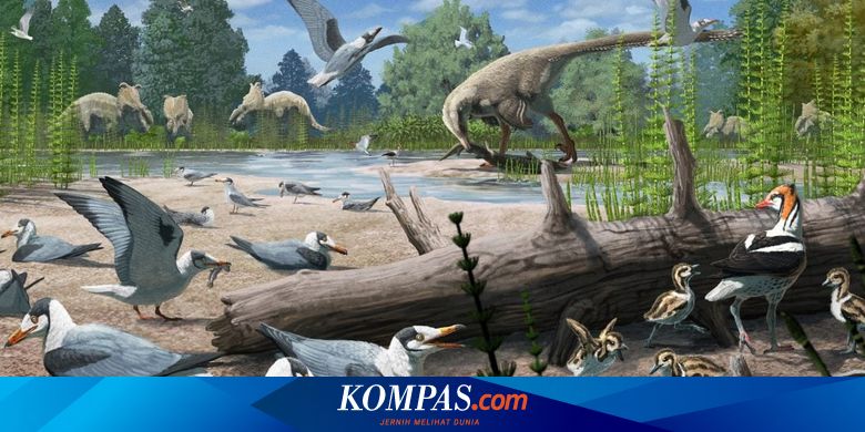 恐竜時代の痕跡は、7300万年の化石で発見されました