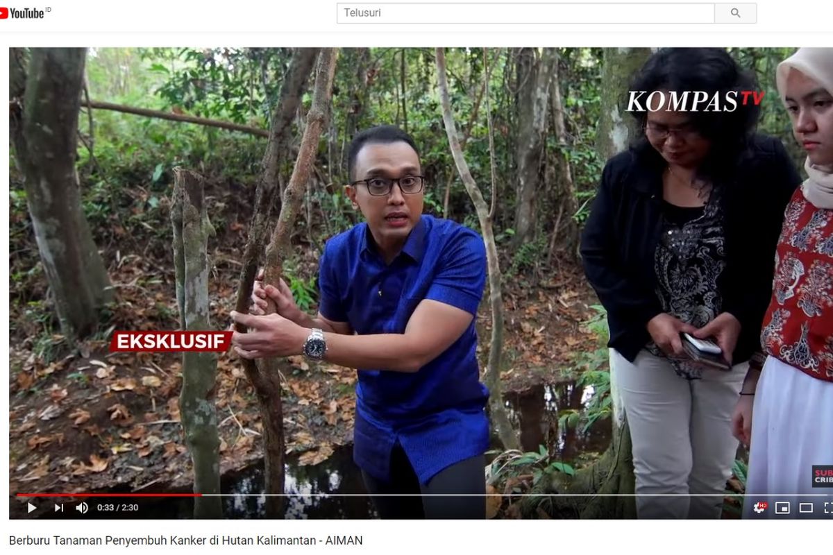 Jurnalis Kompas TV Aiman Witjaksono mengunjungi lokasi tumbuhan bajakah.