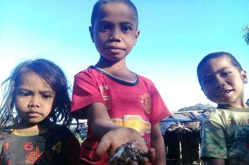Cerita Paskalis Tehario, Pulang Sekolah Cari Jamur di Hutan untuk Beli Beras 