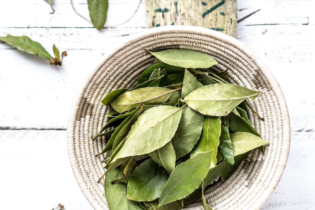 20 Minuman Herbal untuk Menurunkan Gula Darah Tinggi Halaman all ...