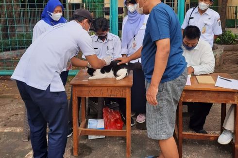 59 Kucing dan 16 Anjing Milik Warga di Bintaro Disuntik Vaksin untuk Cegah Rabies