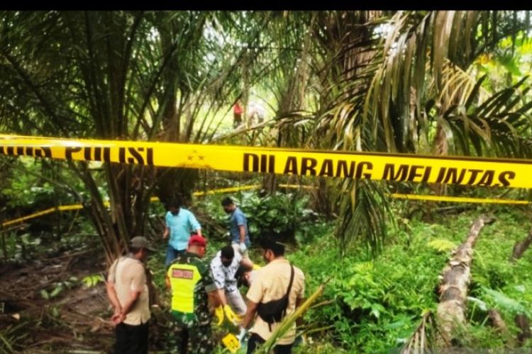 Petugas mengevakuasi kerangka manusia dari lahan perkebunan sawit milik warga di Jorong Padang Bintungan III, Nagari Sialang Gaung, Kabupaten Dharmasraya, Sumbar, Rabu (8/12/2021).