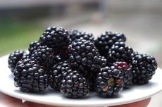 Masa Depan Blackberry: Tanpa Duri, Tahan Penyakit, dan Lebih Lezat