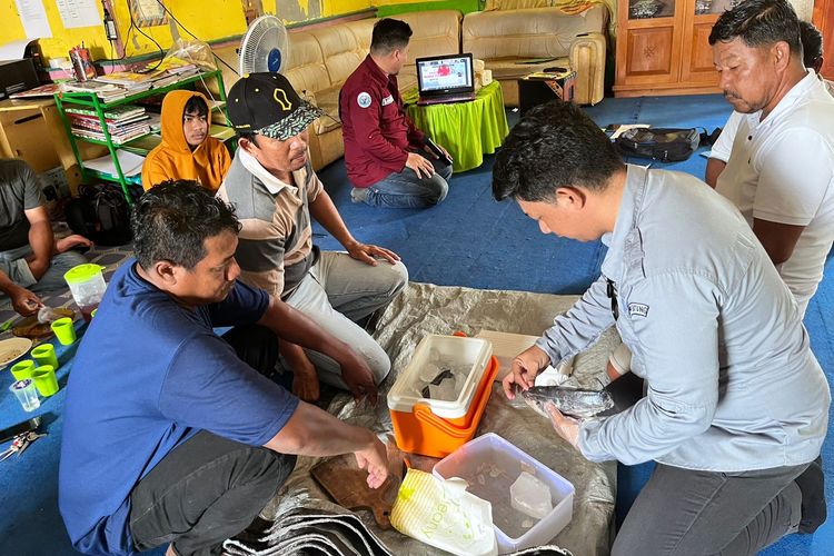 Kementerian KP melalui Badan Riset dan Sumber Daya Manusia Kelautan dan Perikanan (BRSDM) melaksanakan pelatihan untuk meningkatkan kapasitas masyarakat dalam penanganan dan pengolahan ikan.
