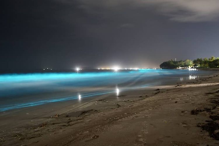 Laut Lampung menyala biru saat malam hari