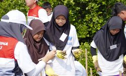 Tumbuhkan Cinta Lingkungan, Pertamina Ajak Siswa SD Tanam 20.000 Mangrove