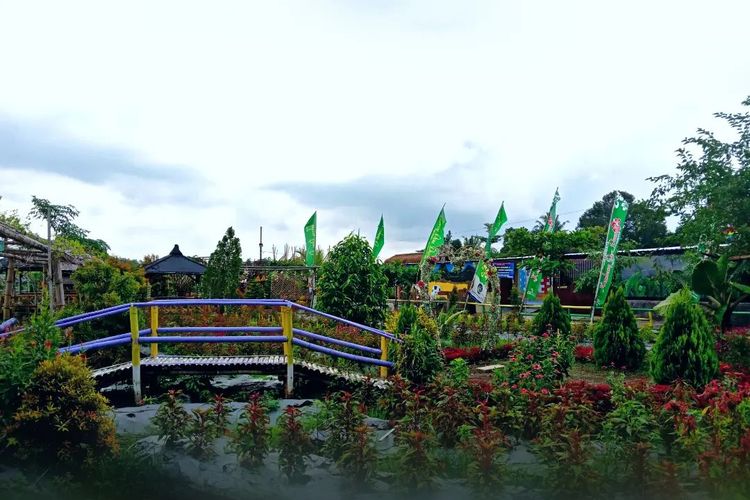 Kembang Desa Dawung di Karanganyar, Jawa Tengah