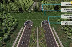 Bisa Dilintasi Beruang Madu, Ini Spesifikasi Terowongan Satwa Tol IKN