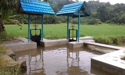 Tingkatkan Produksi Pertanian, Kementan Minta Petani Manfaatkan Dam Parit