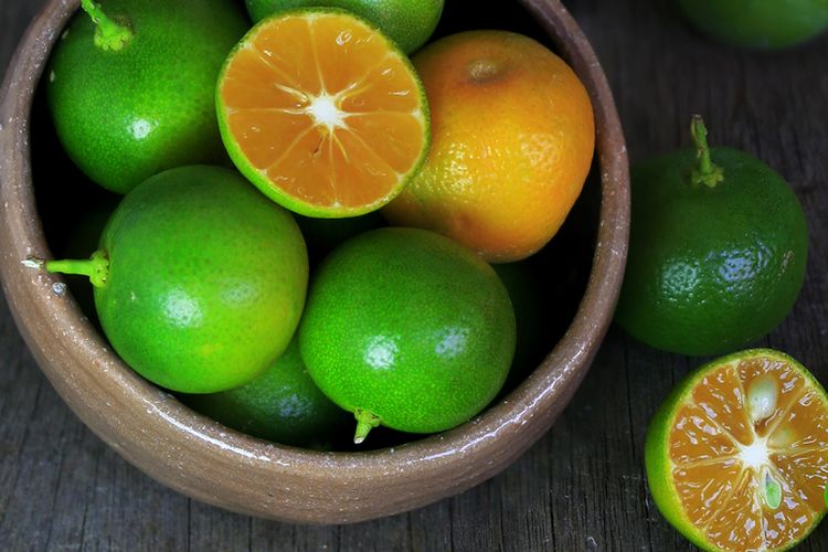 Ilustrasi jeruk kunci atau lemon cui, limau kasturi.