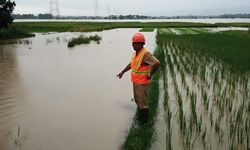 Gerak Cepat Pemda Atasi Banjir di Lahan Pertanian