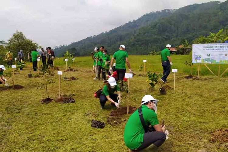 Penanaman pohon oleh PT Bumiyasa Indonesia Energi dan PT Mandiri Manajen Investasi di Desa Baseh, Kecamatan Kedungbanteng, Kabupaten Banyumas, Jawa Tengah, Jumat (4/12/2020).
