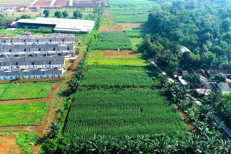 12 Ahli Bela Konstitusionalitas Badan Bank Tanah di Mahkamah Konstitusi