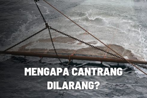 Mengapa Penggunaan Cantrang Dilarang? 