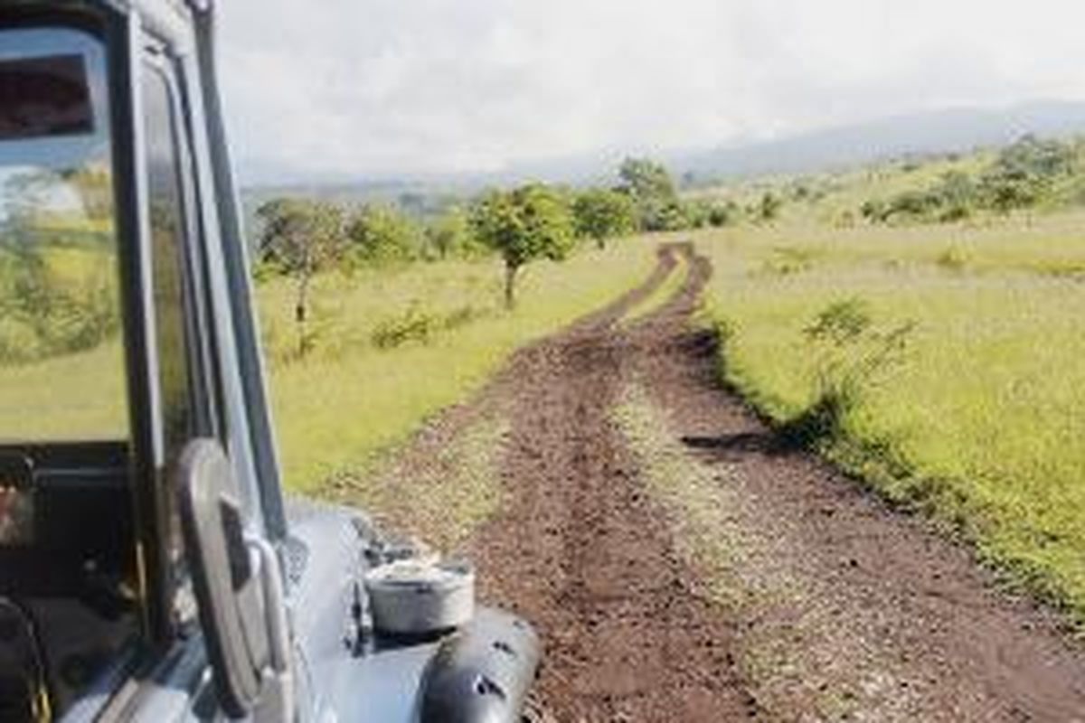 Sebuah jip Toyota hardtop menjelajahi medan lereng Gunung Tambora di sisi Kabupaten Dompu, Nusa Tenggara Barat (NTB), Sabtu (4/4/2015). Kendaraan seperti inilah yang diandalkan untuk menembus tantangan beratnya medan bergunung-gunung di wilayah Pulau Sumbawa, NTB.
