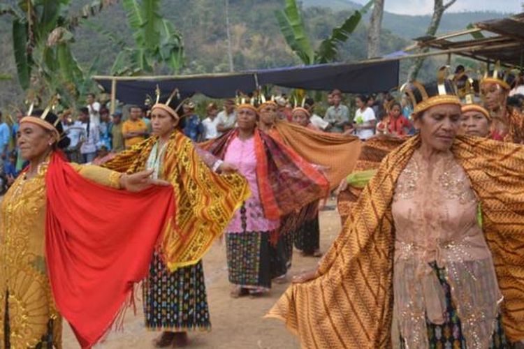 Tari Congka Sae yang dibawakan kaum perempuan dalam acara Poka Kaba Congko Lokap di Kabupaten Manggarai Timur, Nusa Tenggara Timur.