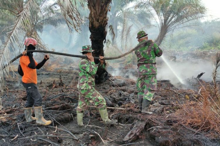 Petugas TNI saat melakukan pemadaman titik api kebakaran hutan dan lahan (karhutla) di Riau beberapa waktu lalu.