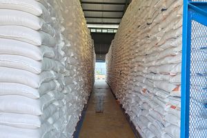 Mentan Pastikan Stok Beras Nasional Aman: Enggak Usah Diragukan!