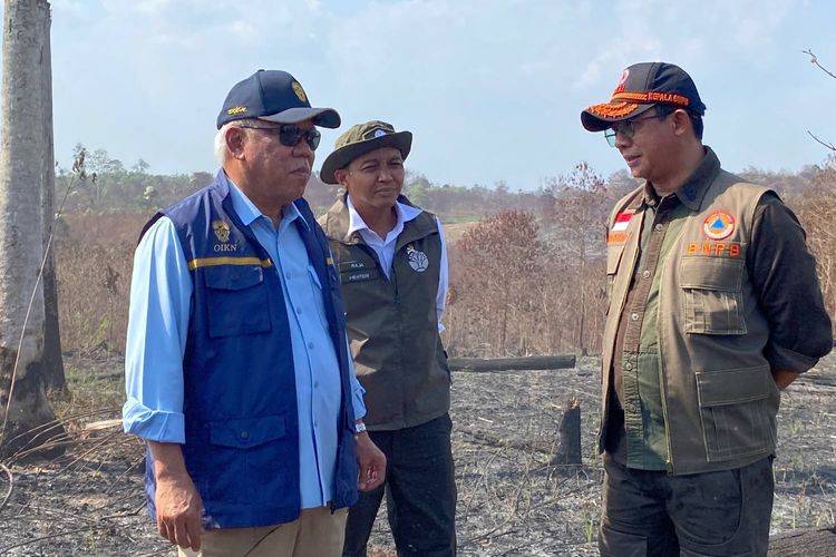 Daftar 3 Perusahaan di Kaltim yang Dibekukan Izinnya karena Karhutla