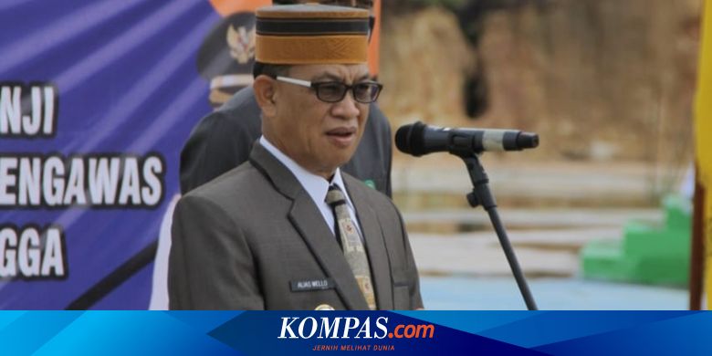 Bupati Lingga Marah Wilayahnya Diizinkan Ditanami Sawit