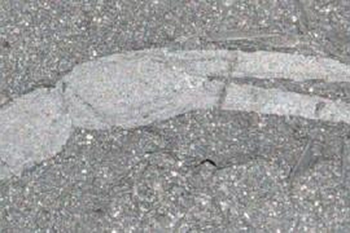Fosil kalajengking purba ditemukan dan dinobatkan sebagai fosil hewan tertua di belahan selatan Bumi. Gambar menunjukkan vagian capit dari kalajengking itu. 