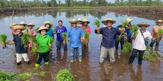 Kebut Target Swasembada, Kementan Selesaikan Tanam Perdana di 2 Lokasi Cetak Sawah Baru