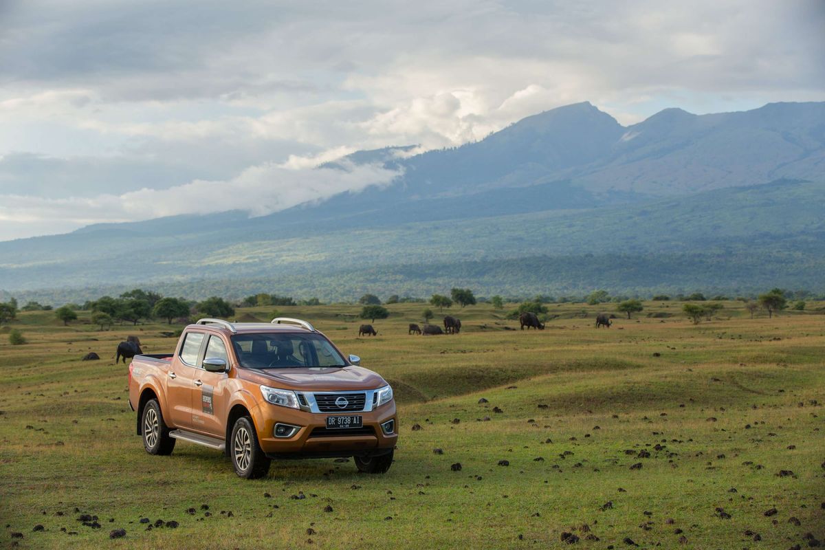 Mobil Nissan All-New NP300 Navara di kaki Gunung Tambora, Dompu, Nusa Tenggara Barat, Jumat (20/3/2015). Nissan All-New Navara punya spesifikasi standar, mesin diesel YD25DDTi berkapasitas 2.488 cc. KOMPAS IMAGES/KRISTIANTO PURNOMO