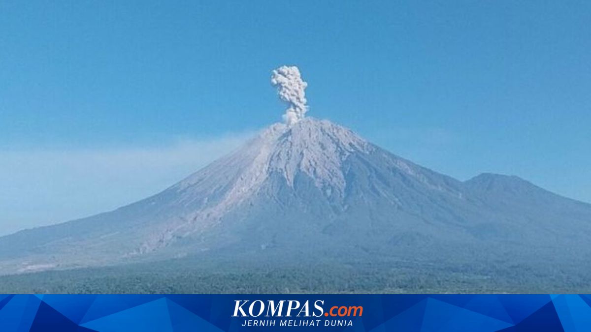 Gunung Semeru Erupsi 6 Kali sejak Dini Hari , Letusan Tertinggi Tembus 1 . 000 Meter