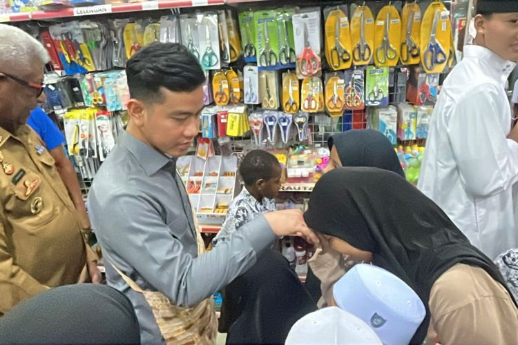 Apa Saja yang Wapres Gibran Lakukan di Papua?