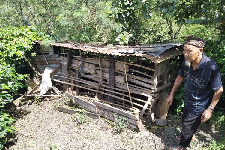 Pak Joko (65), warga Kampung Paya Tumpi Baru, saat berada di kandang kambing miliknya yang baru diserang kawanan beruang, Rabu (27/11/2019).