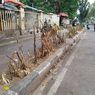 Tumbuhan di Jalur Hijau Senen Tak Terawat, Tampak Kering dan Layu