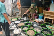 Harga Ikan Laut di Cirebon Naik, Imbas Cuaca Buruk dan Momen Nataru