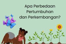 Apa Perbedaan Pertumbuhan dan Perkembangan?