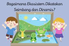 Bagaimana Ekosistem Dikatakan Seimbang dan Dinamis?