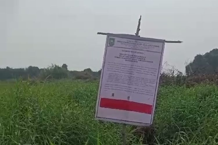 DLHK Riau memasang plang penyegelan di kawasan hutan yang dirambah orang yang tak bertanggung jawab, di Desa Koto Garo, Kecamatan Tapung Hilir, Kabupaten Kampar, Riau (5/10/2023).