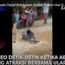 Pengamen di Grobogan Digigit Ular Kobra Peliharaannya Saat Sedang Atraksi, Korban Tewas