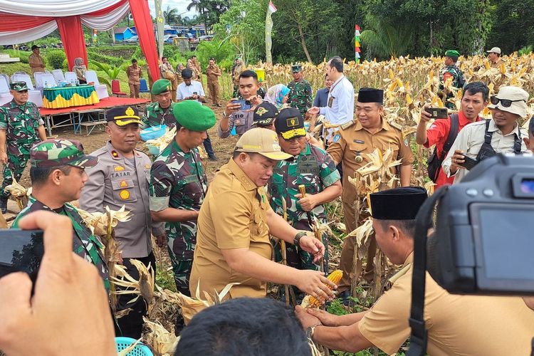 Panen jagung seluas 5 hektare dihadiri Komandan Korem (Danrem) 401/Garuda Emas, Bengkulu, Brigjen TNI. Budi Handoyo, Bupati Seluma, Erwin Octavian, Dandim 0425/Seluma, Letkol. (Inf). Syafrinaldi, dan sejumlah unsur Forum Pimpinan Kepala Daerah (Forkopimda) Seluma. Senin (12/12/2022).