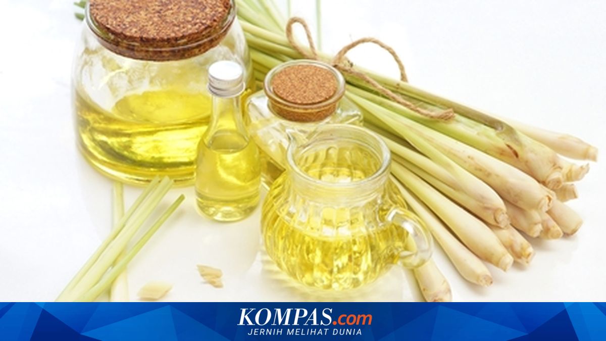 Ekspor Minyak Atsiri RI Tembus Rp 4,2 Triliun, Industri Dorong Kerja Sama Berkelanjutan - Kompas.com