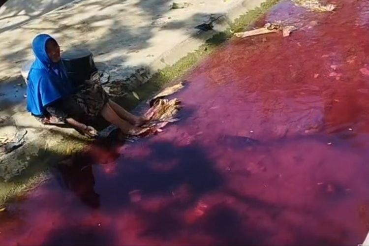 Warga Desa Klampar, Kecamatan Proppo, Kabupaten Pamekasan, Jawa Timur, memperhatikan perubahan warna air sungai menjadi merah darah, Senin (10/7/2023). Perubahan warna itu terjadi mulai Minggu (9/7/2023).
