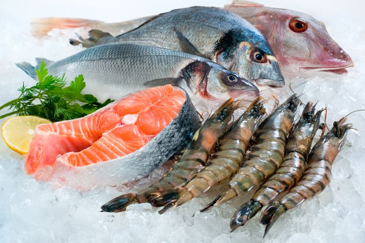 Ilustrasi seafood segar. 