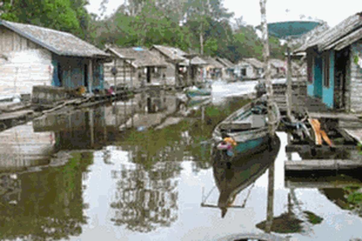 Kampung Apung di Kapuk, Cengkareng, Jakarta Barat.