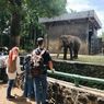 Catat, 5 Tips Wisata ke Kebun Binatang Ragunan Saat Libur Lebaran