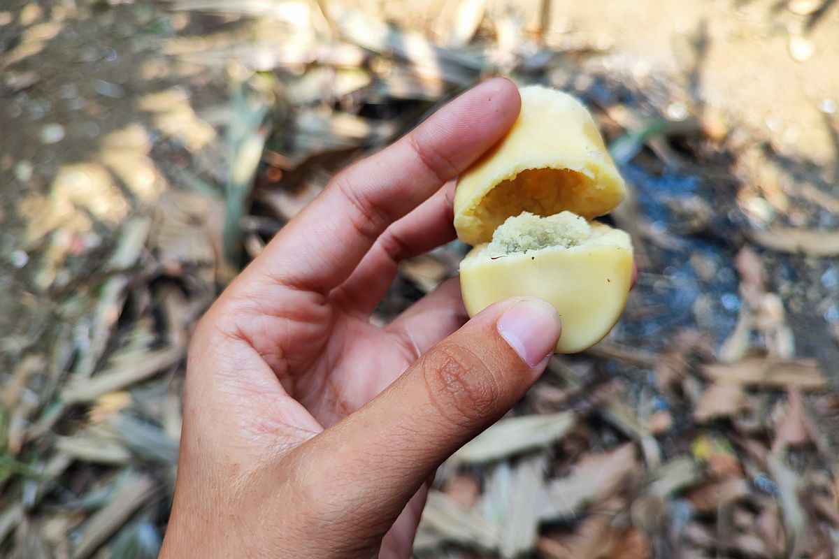 Apa saja kandungan buah salak? Buah salak mengandung beberapa nutrisi bermanfaat, meliputi karbohidrat, serat, protein, vitamin C, vitamin A, kalium, zat besi, dan fosfor.