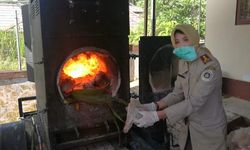 Seperti Ini Keunggulan PRIOQ KLIK